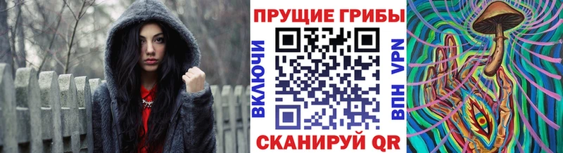 Псилоцибиновые грибы мицелий Славск